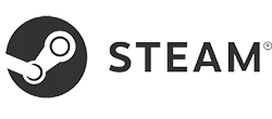 steam